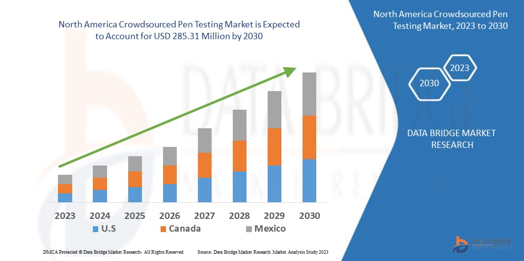 North America Crowdsourced Pen Testing Market