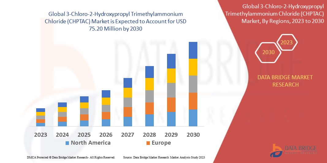 Global 3-Chloro-2-Hydroxypropyl Trimethylammonium Chloride (CHPTAC) Market