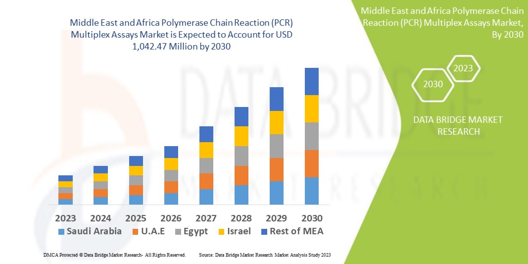 Middle East and Africa Polymerase Chain Reaction (PCR) Multiplex Assays Market