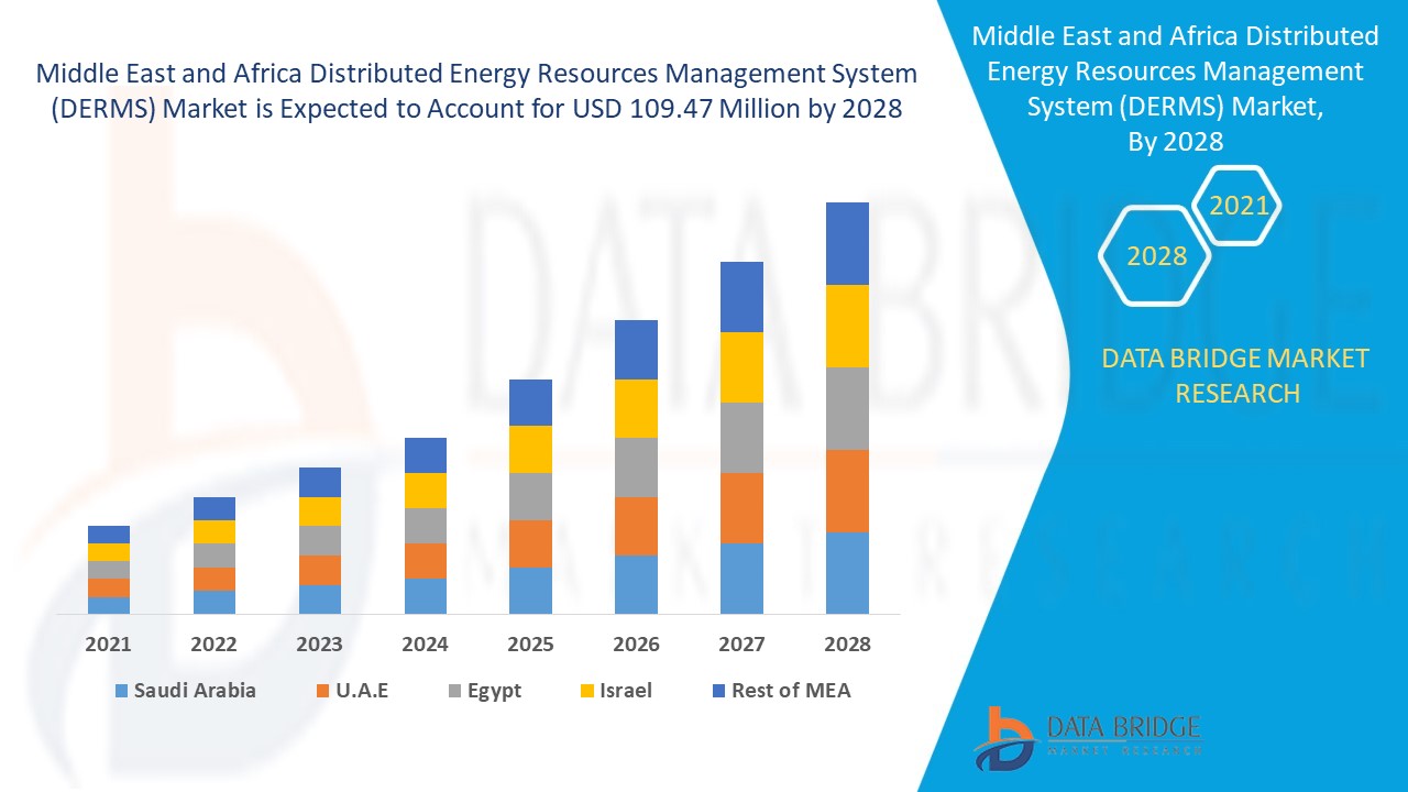 Middle East and Africa Distributed Energy Resources Management System (DERMS) Market 
