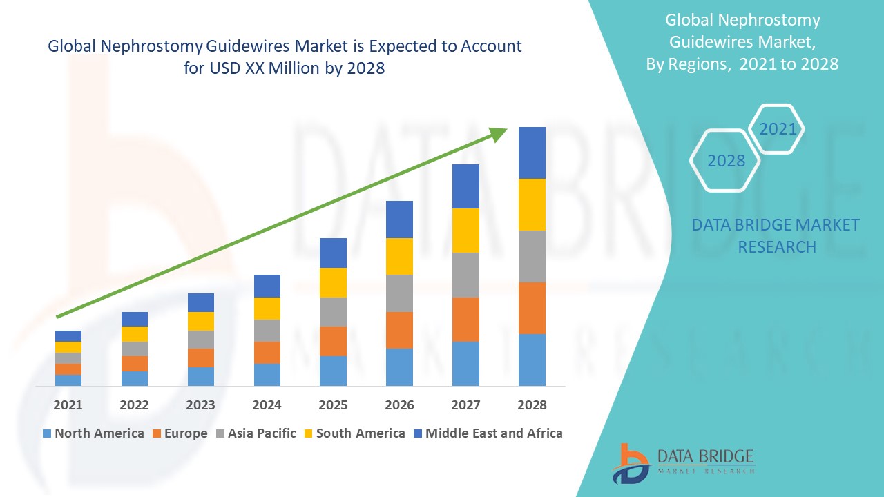 Nephrostomy Guidewires Market