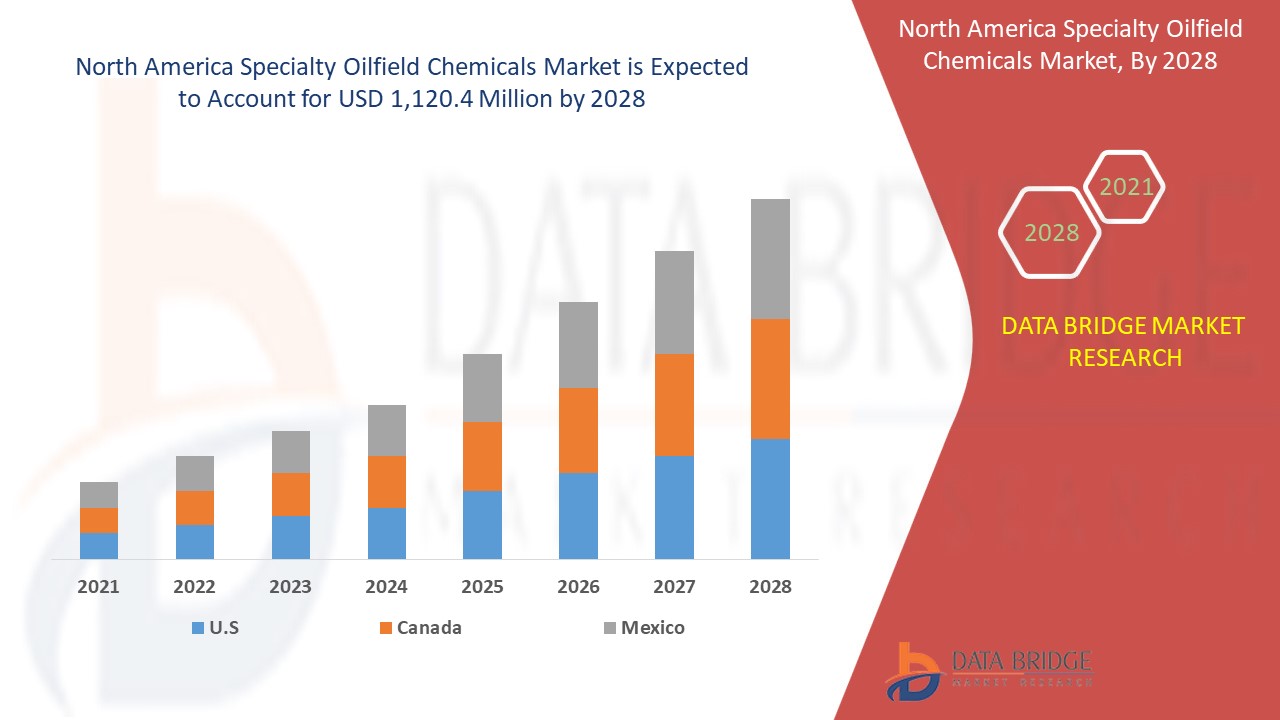Mercado de productos químicos especializados para yacimientos petrolíferos en América del Norte
