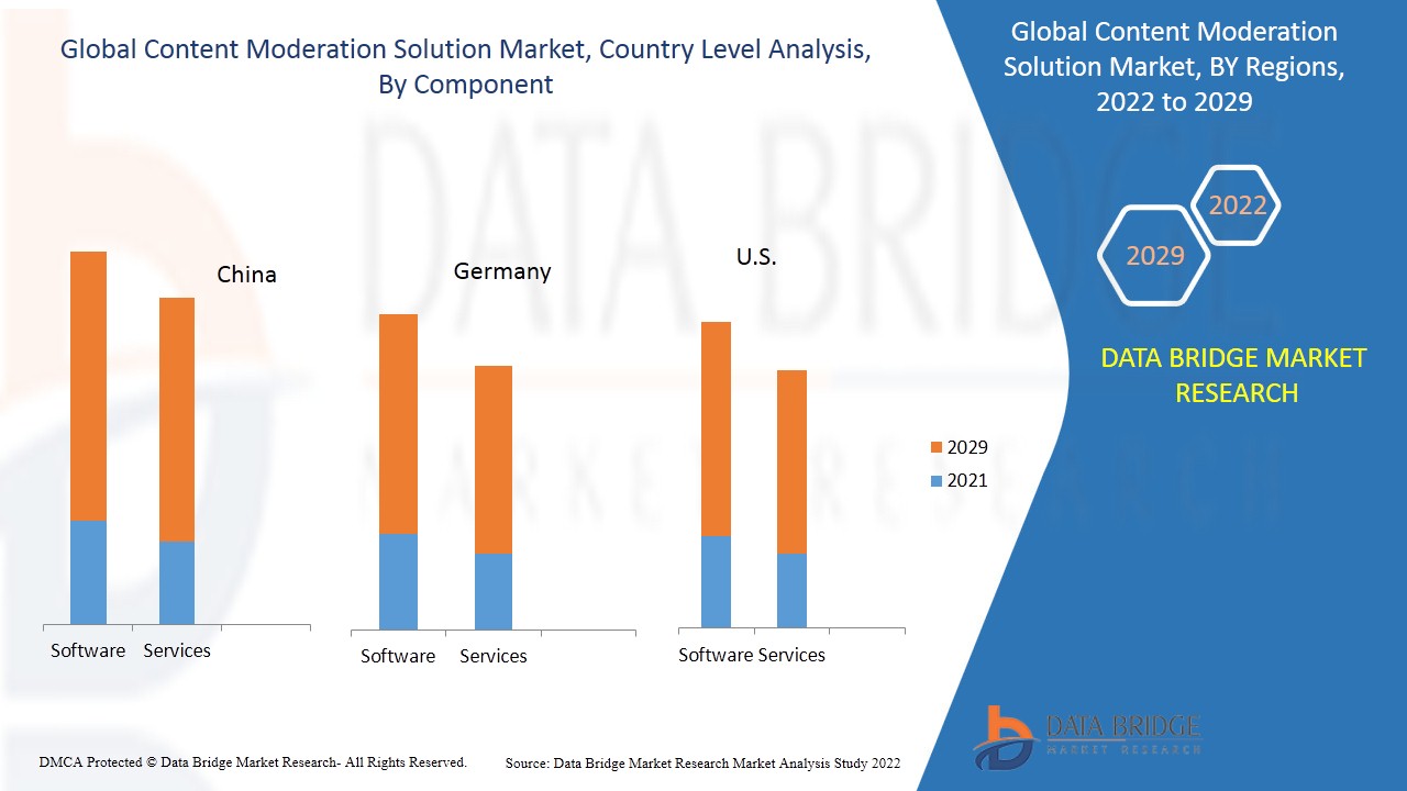 Content Moderation Solution Market 