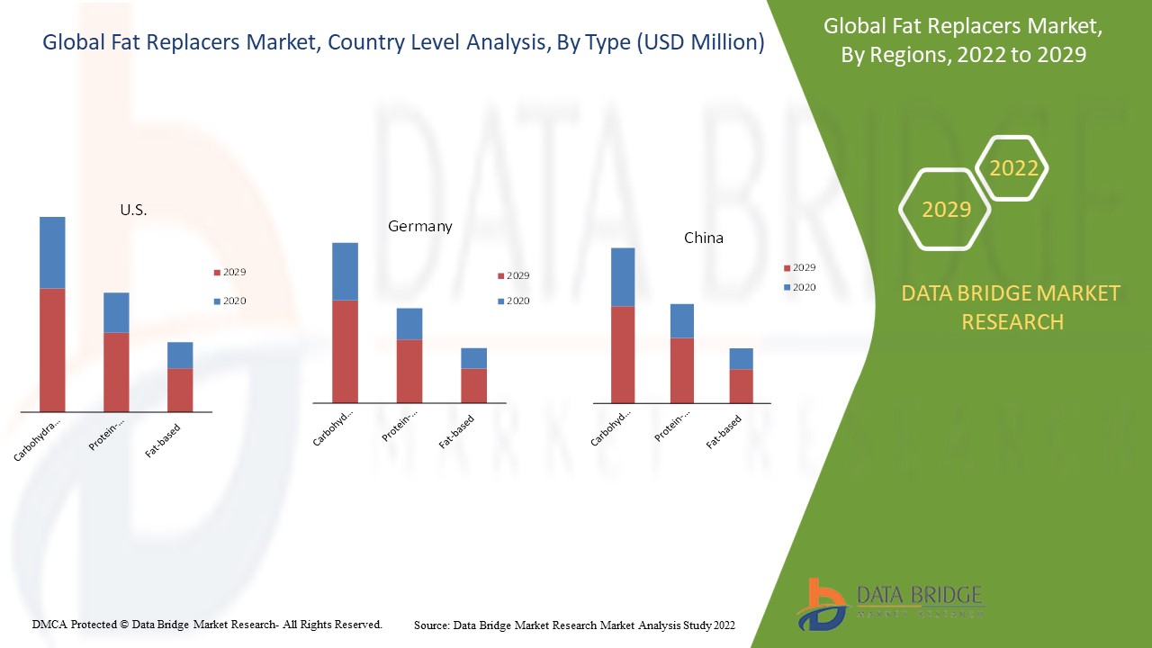 지방 대체제 시장