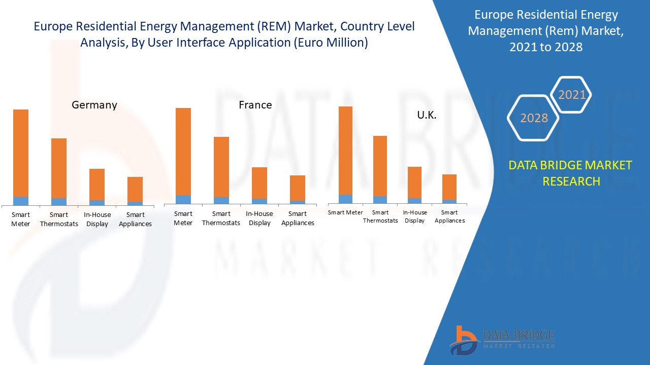 欧洲住宅能源管理 (REM) 市场