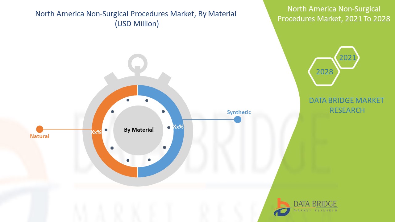Marché des procédures non chirurgicales en Amérique du Nord
