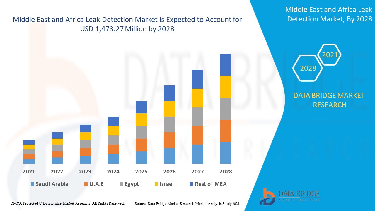 Middle East and Africa Leak Detection Market