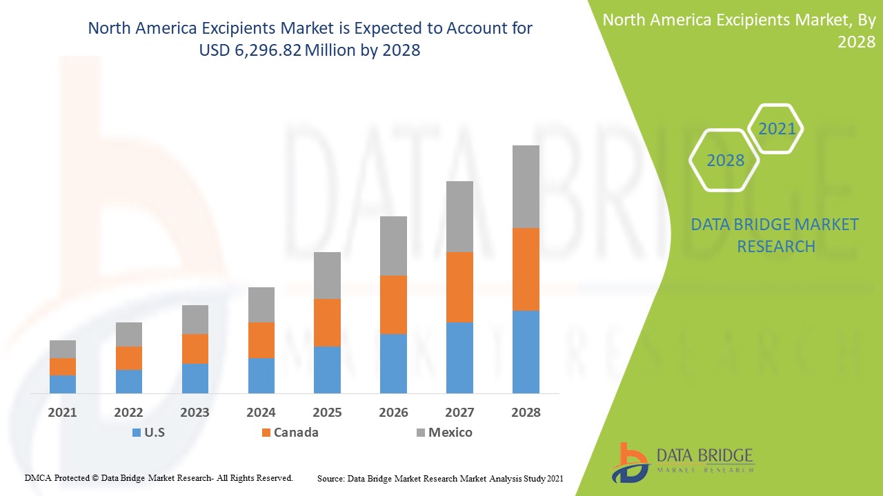 North America Excipients Market