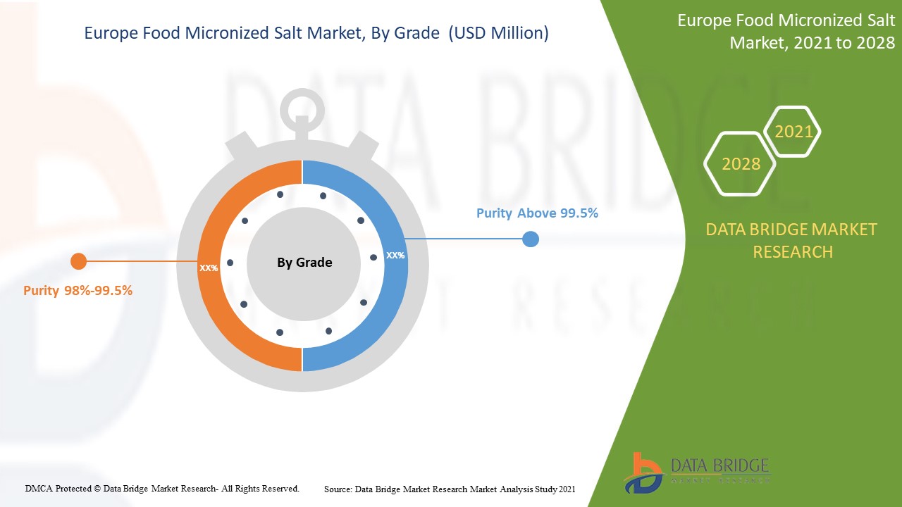 Europe Food Micronized Salt Market