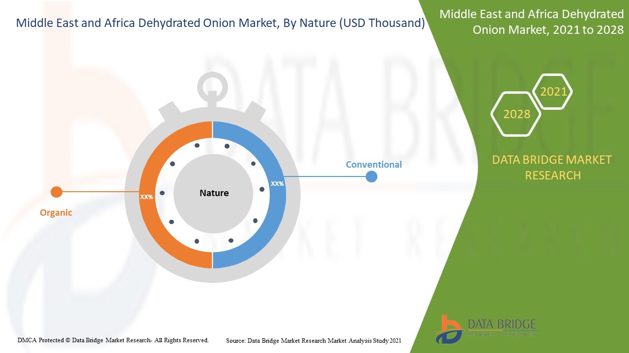 Middle East and Africa Dehydrated Onion Market