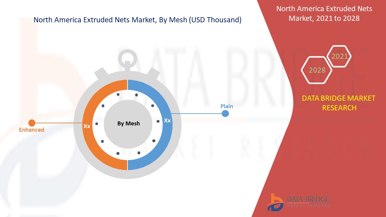 北美挤压网市场