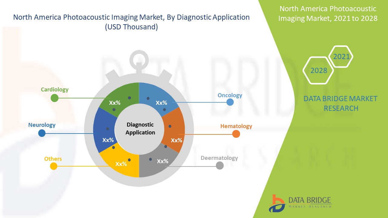 North America Photoacoustic Imaging Market Size