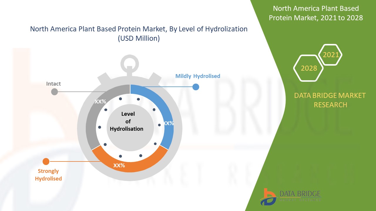 North America Plant Based Protein Market