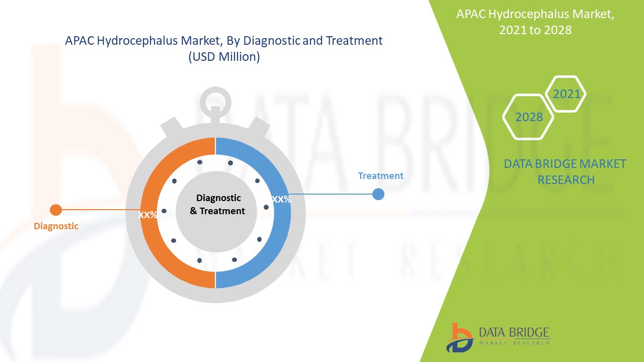 Asia Pacific Hydrocephalus Market 