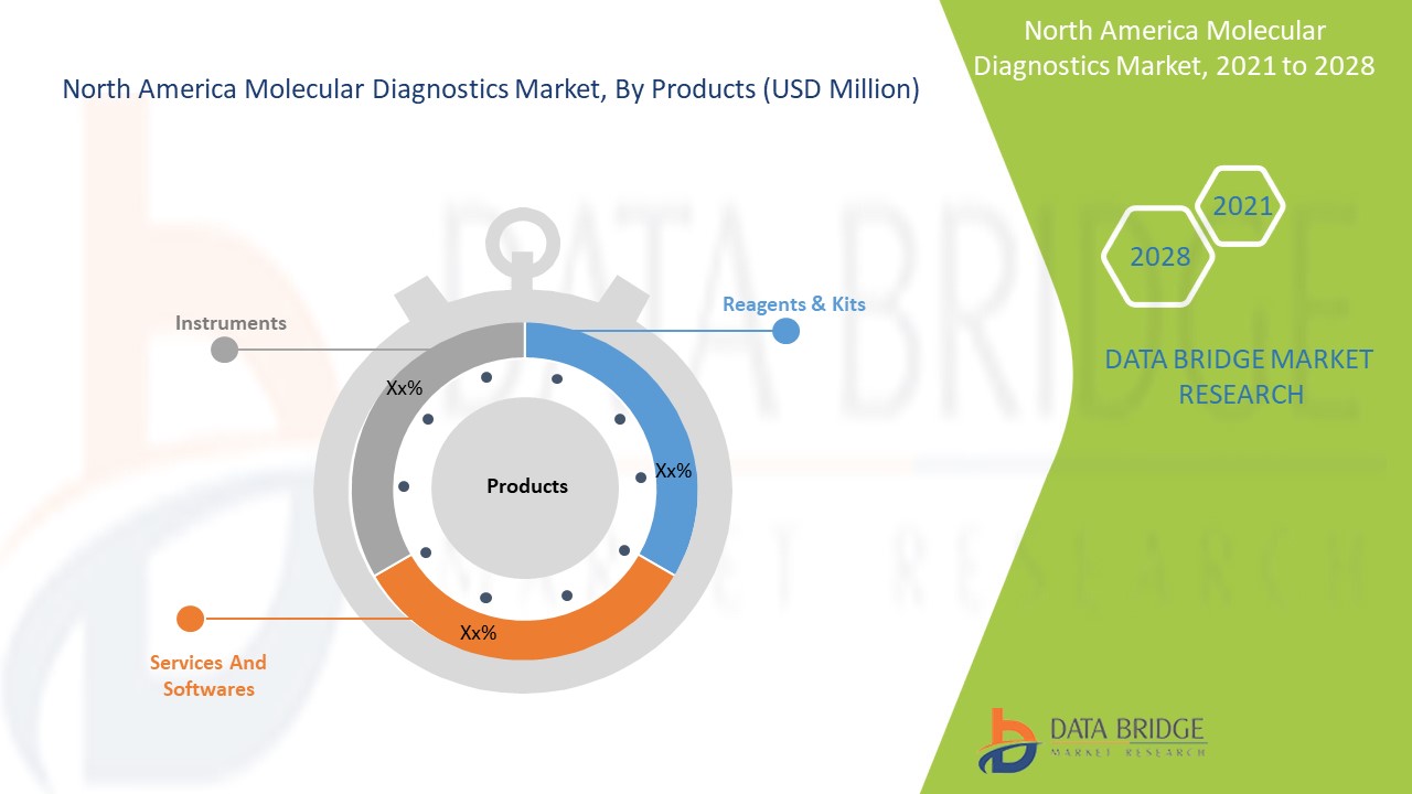 North America Molecular Diagnostics Market 