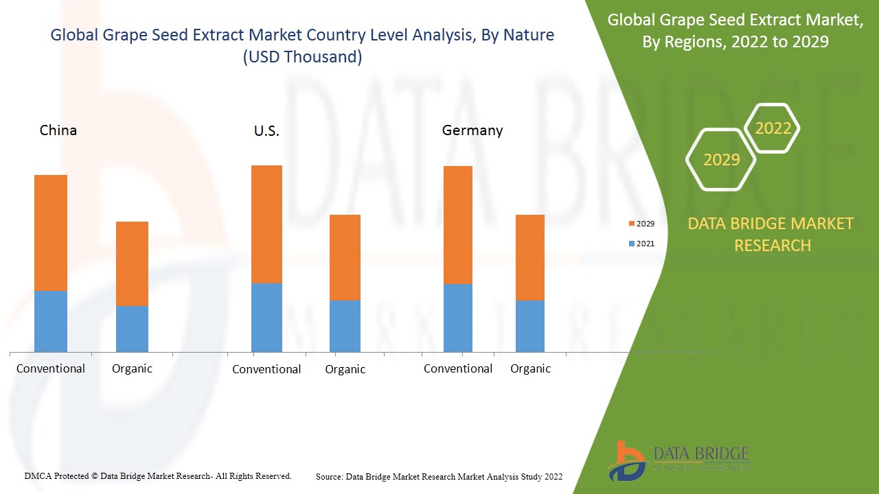 Mercado de extracto de semilla de uva