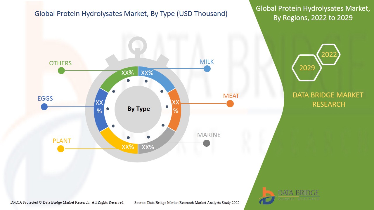 Protein Hydrolysates Market