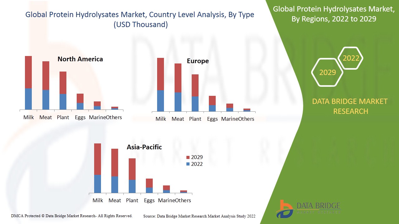 Protein Hydrolysates Market