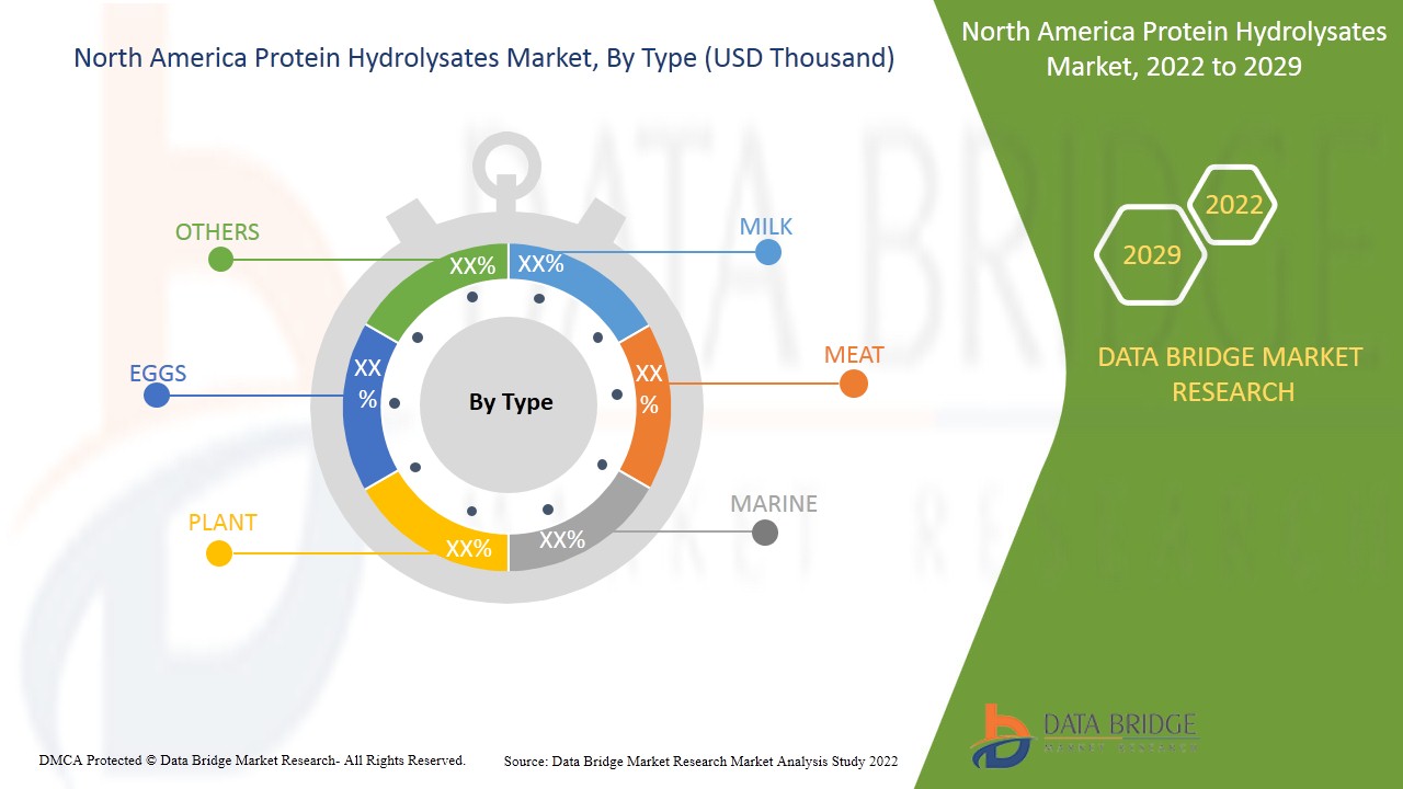 North America Protein Hydrolysates Market