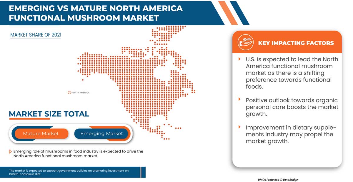 Functional Mushroom Market