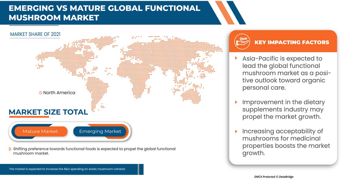 سوق الفطر الوظيفي