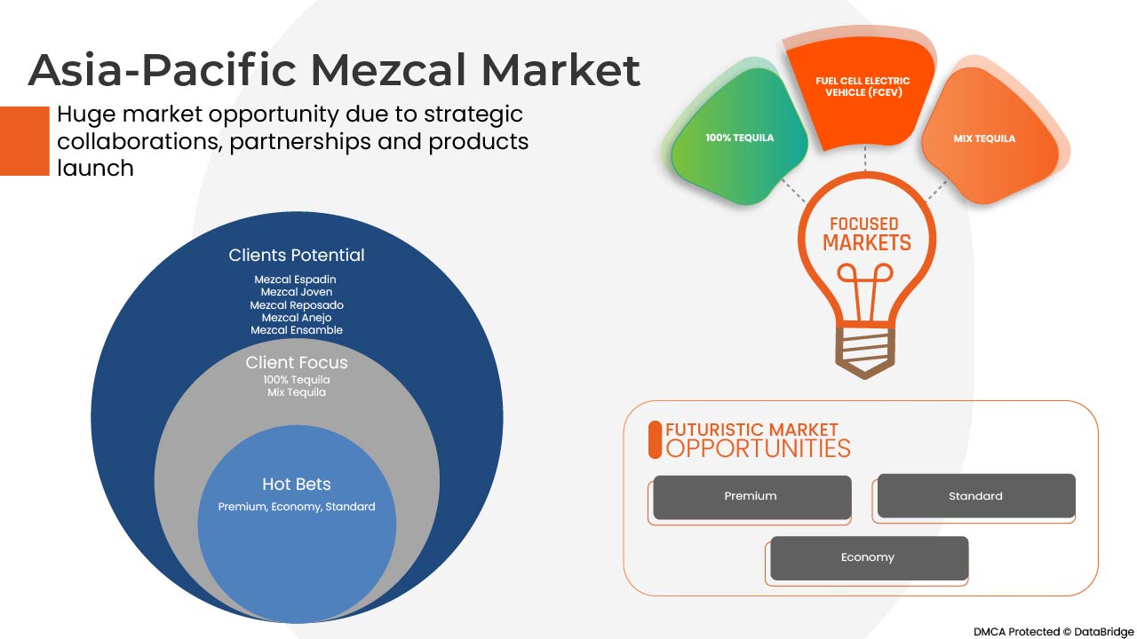 Mercado del Mezcal