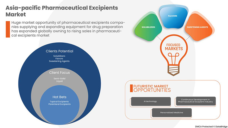 Asia-Pacific Pharmaceutical Excipients Market