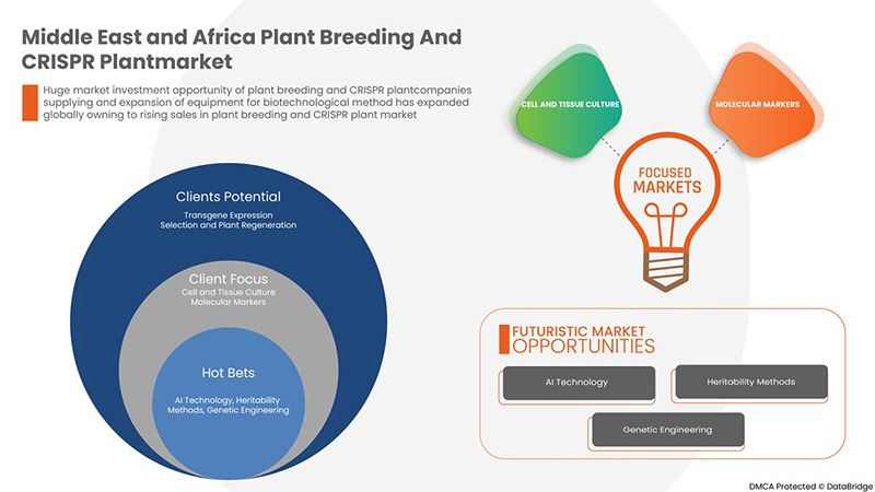Middle East and Africa Plant Breeding and CRISPR Plant Market
