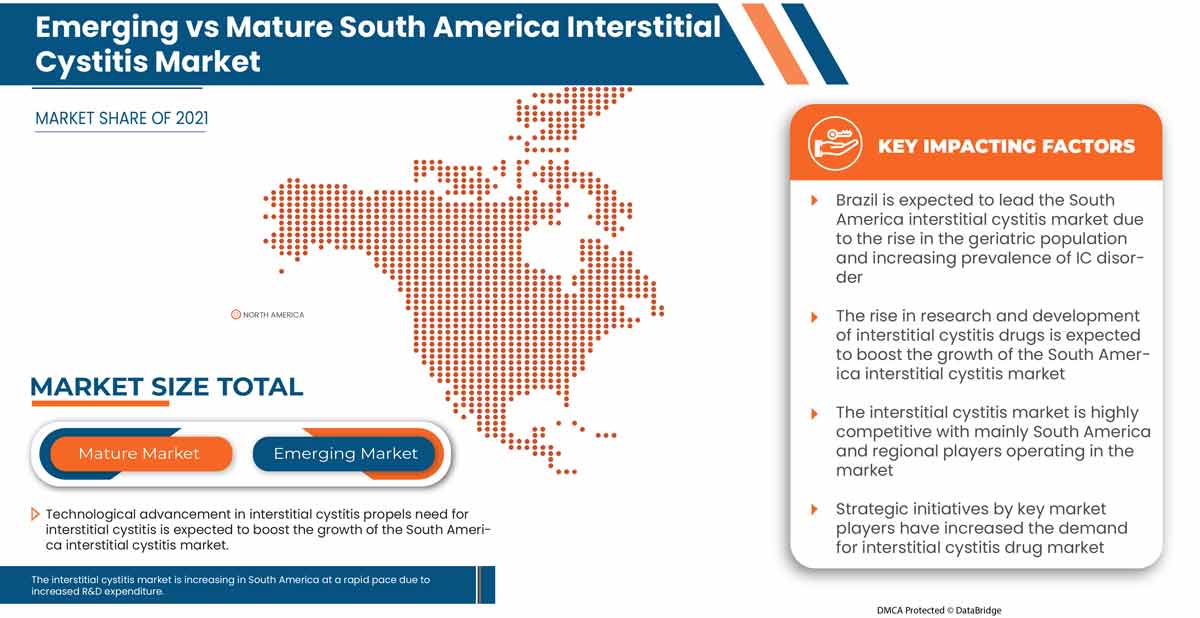 Interstitial Cystitis Market