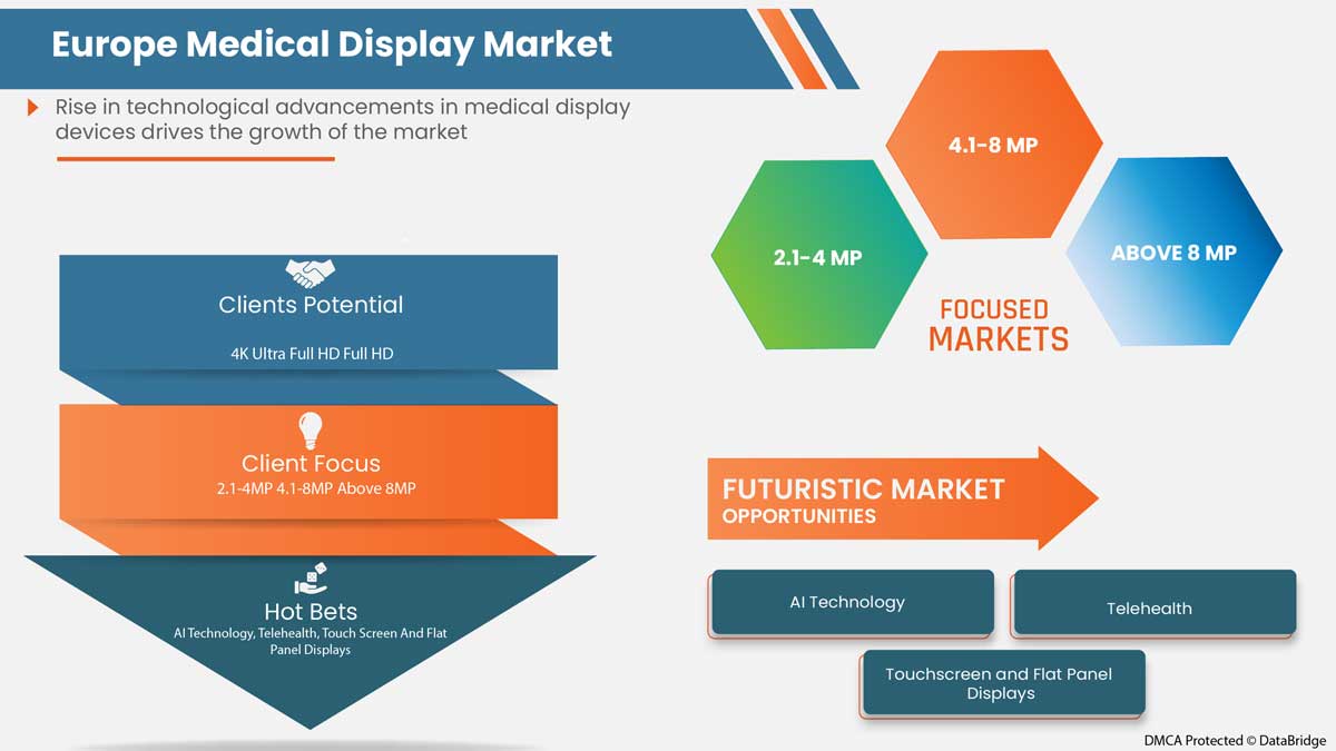 Europe Medical Display Market