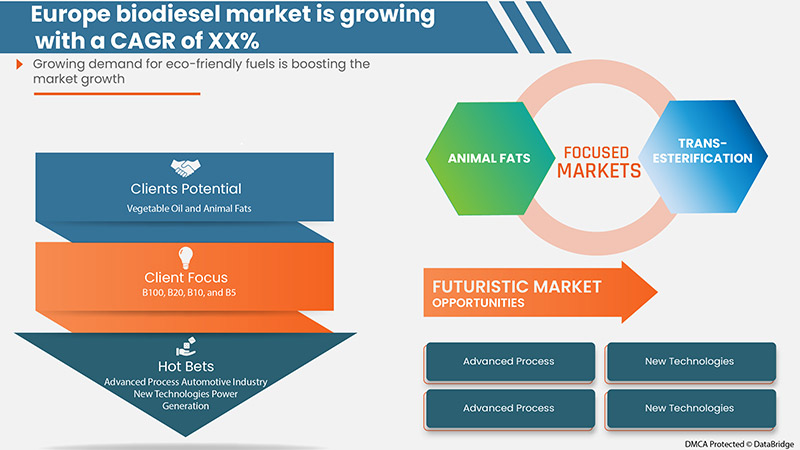 Mercado Europeu de Biodiesel