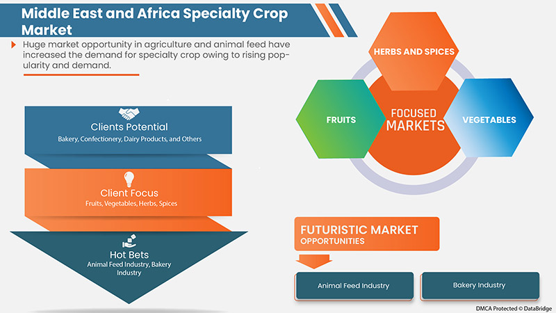Marché des cultures spécialisées au Moyen-Orient et en Afrique