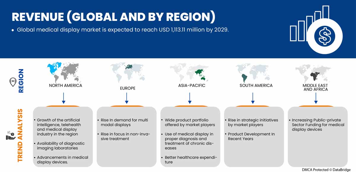 Medical Display Market