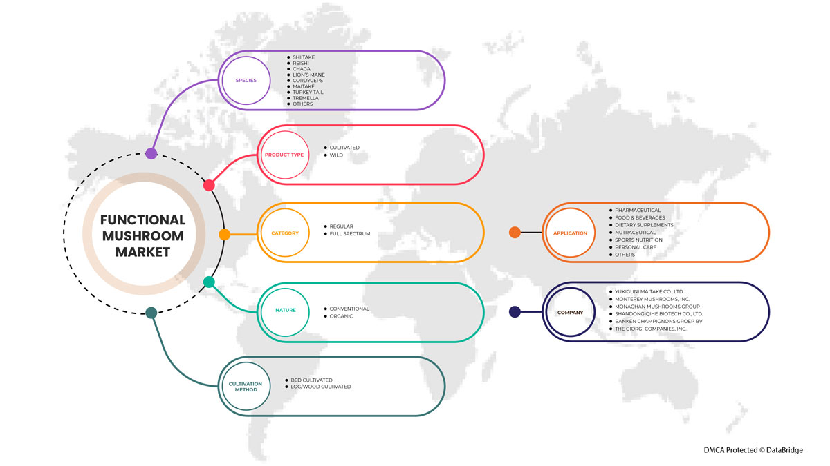 Functional Mushroom Market