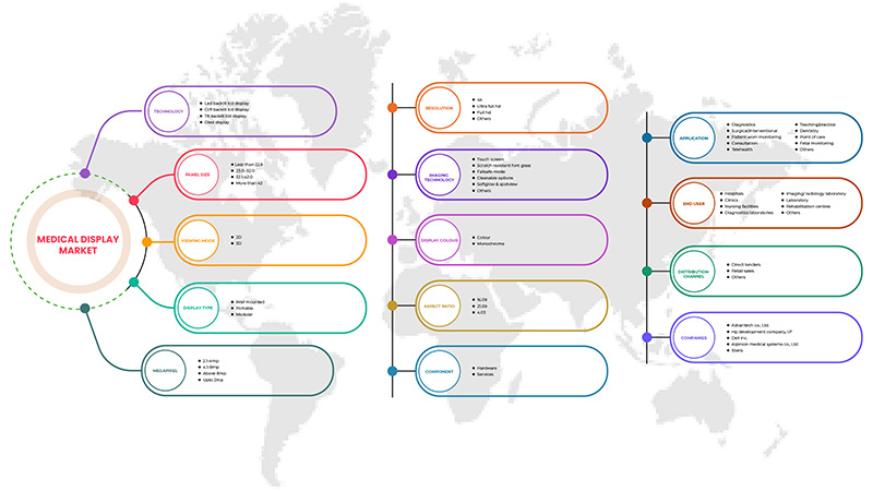 Medical Display Market