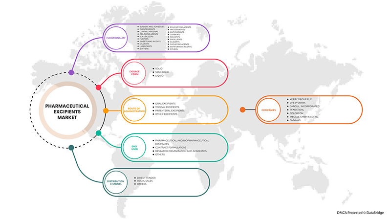 Pharmaceutical Excipients Market