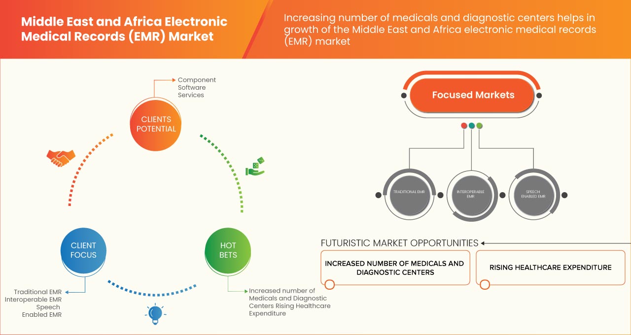 中东和非洲电子病历 (EMR) 市场
