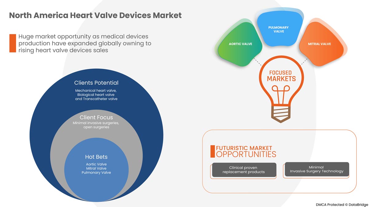 Heart Valve Devices Market