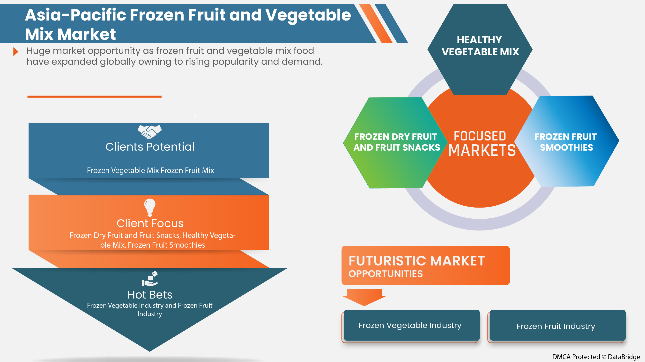 Frozen Fruit and Vegetable Mix Market