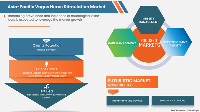 Asia-Pacific Vagus Nerve Stimulation Market