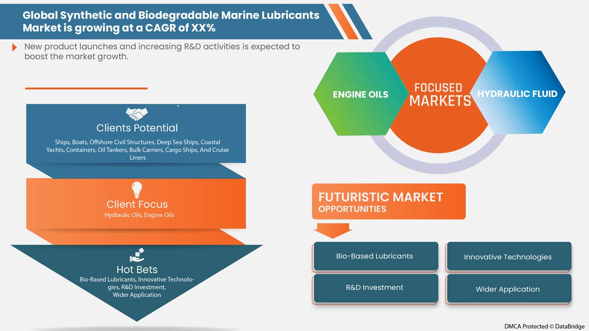 Synthetic and Biodegradable Marine Lubricants Market