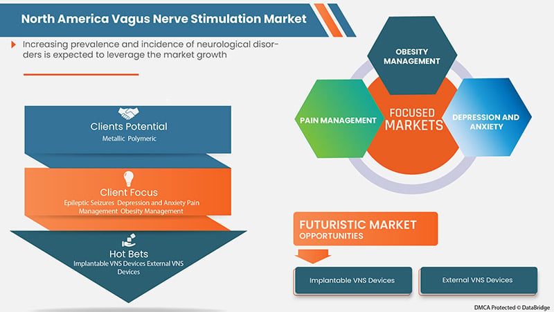 North America Vagus Nerve Stimulation Market