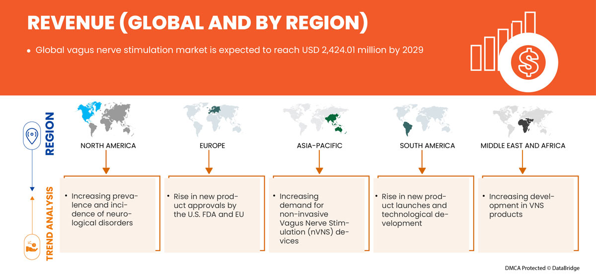 Рынок стимуляции блуждающего нерва