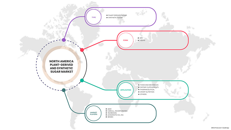 North America Plant-Derived and Synthetic Sugar Market