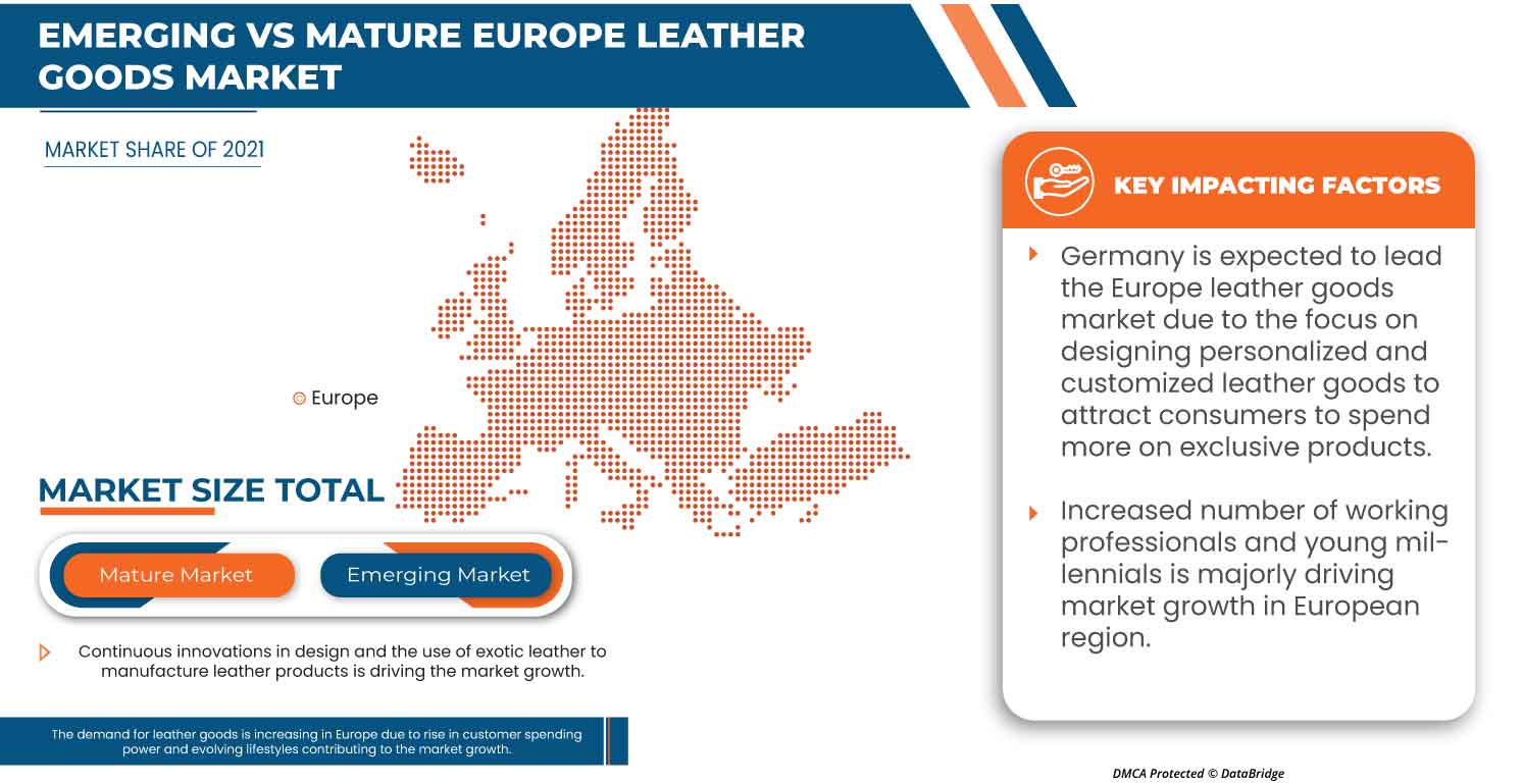 Leather Goods Market