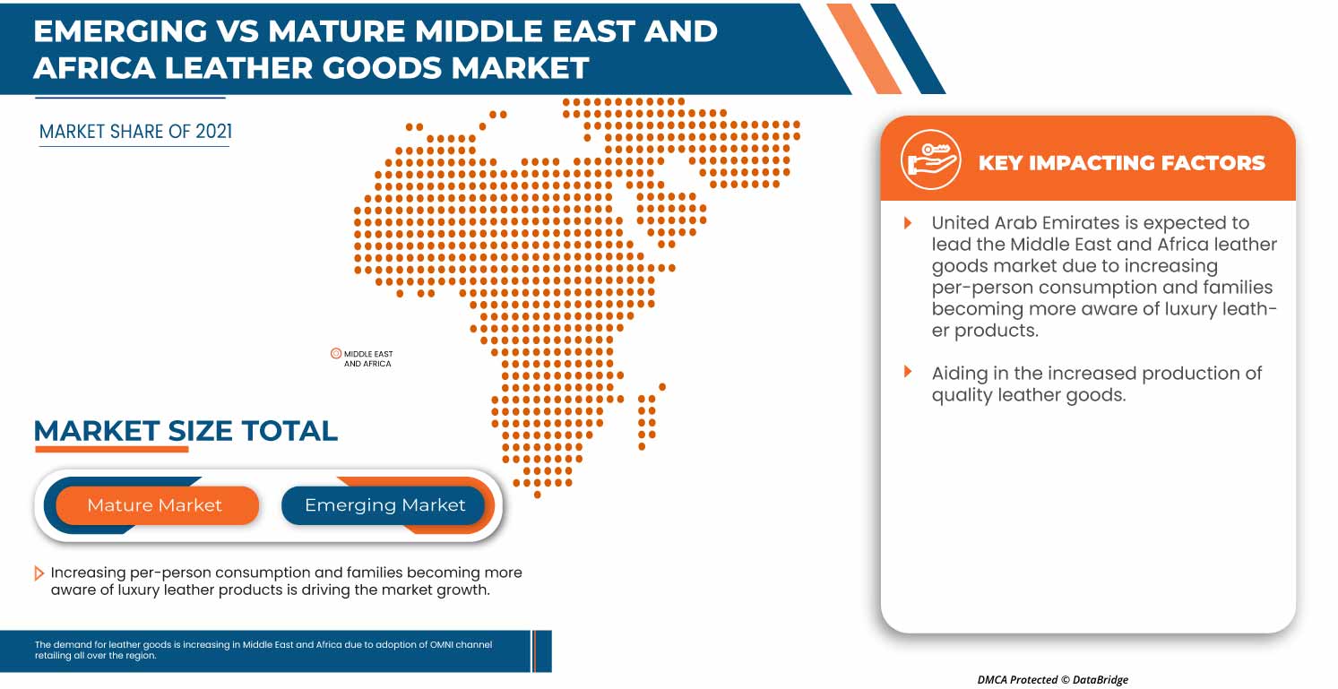 Leather Goods Market,