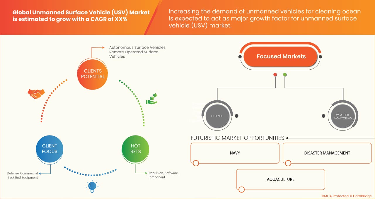 Unmanned Surface Vehicle (USV) Market