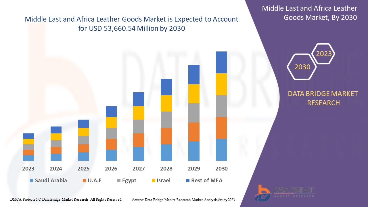 Leather Goods Market,