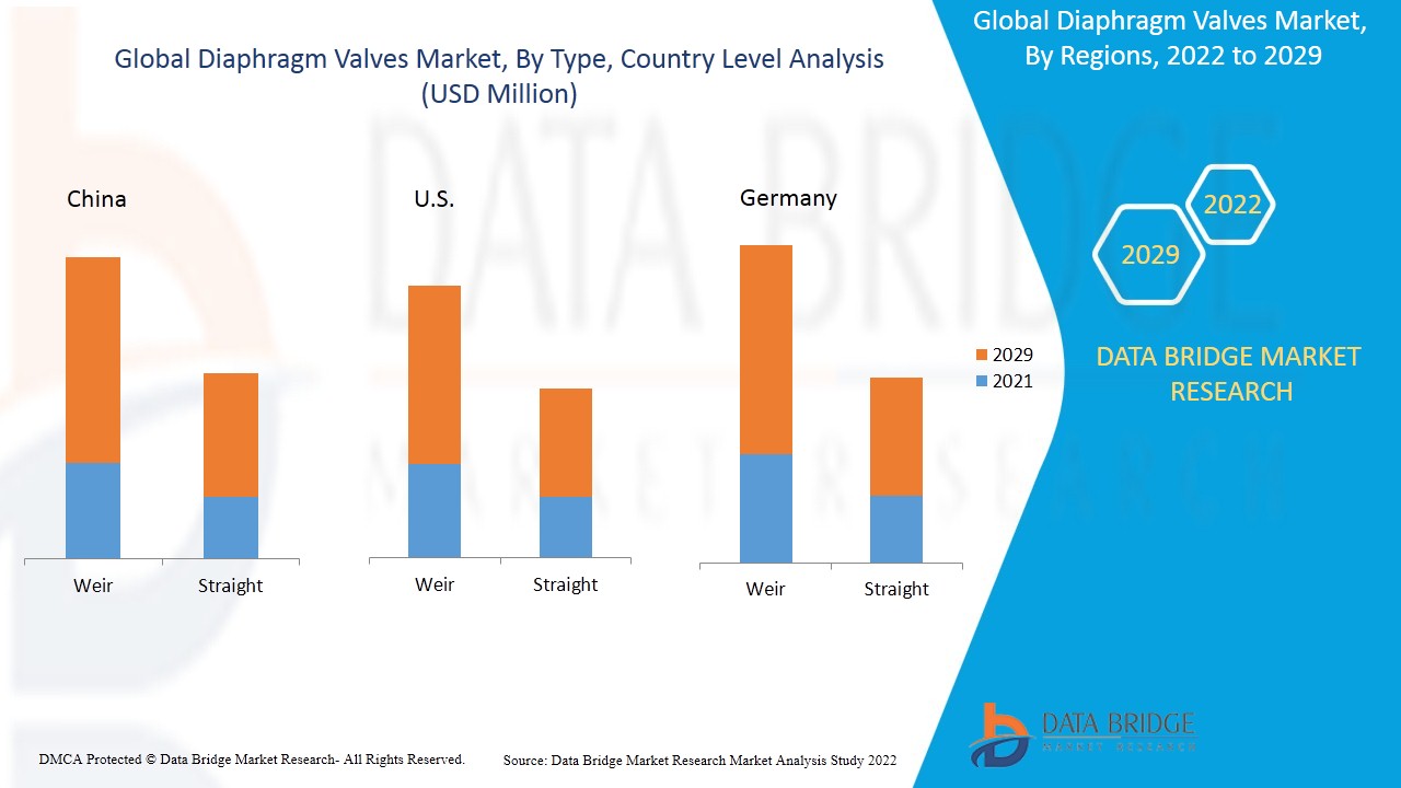 Diaphragm Valves Market
