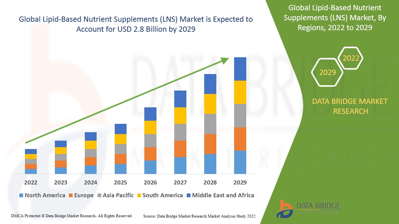 Lipid-Based Nutrient Supplements (LNS) Market